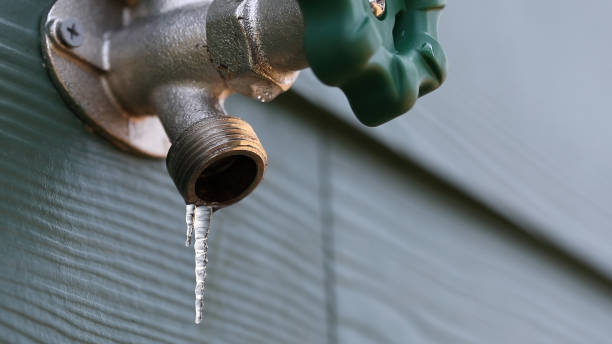 Best Plumbing Services Near Me  in Crouch Mesa, NM